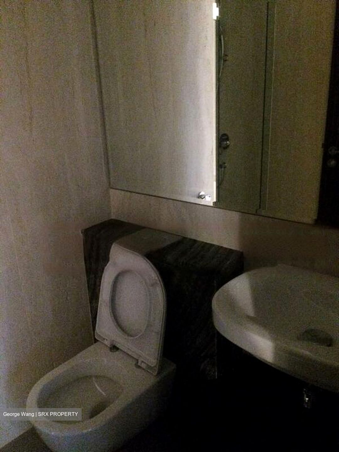 Stellar RV (D10), Apartment #434375821